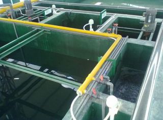 电镀废水处理工程