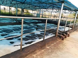 屠宰废水处理工艺流程丨屠宰场废水处理的方法